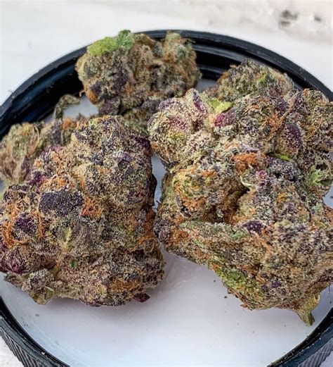 gelato california weed gucci|Gucci og strain reviews.